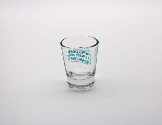 Bruce Springsteen & ESB 2016 The River Tour - Memorabilia - Original Authentic