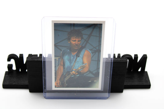 Bruce Springsteen Authentic Fanz Sticker Card Performing in Concert - #170