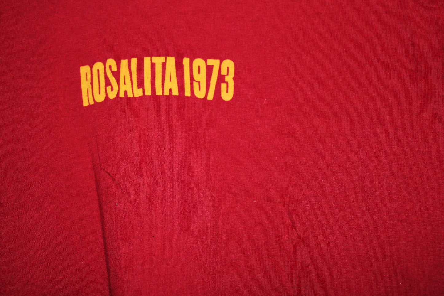 Bruce Springsteen - Concert Tour T-Shirt - Rosalita (DOW)