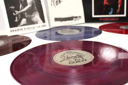 Bruce Springsteen "GRANDE FINALE" 6 RECORDS Entire Show in LA - Complete Box Set!