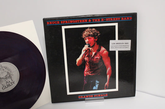 Bruce Springsteen "GRANDE FINALE" 6 RECORDS Entire Show in LA - Complete Box Set!
