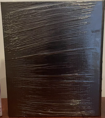 Springsteen: Album By Album - SEALED & Gold Embossed 2014 amazing book by author Ryan White