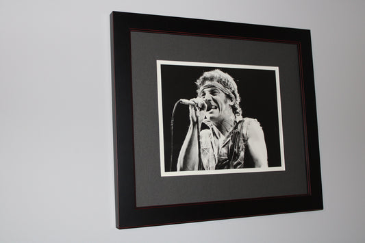 Bruce Springsteen - Born in the USA Tour 1985 concert Original Photograph New Custom Frame