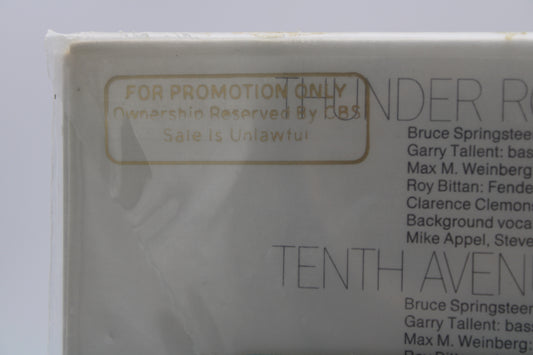 Bruce Springsteen - Born to Run - SEALED - HALF SPEED MASTERED -PROMO Gold Stamped & Sealed Vinyl