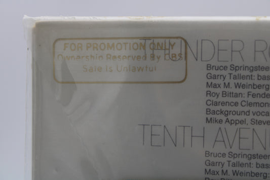 Bruce Springsteen - Born to Run - SEALED - HALF SPEED MASTERED -PROMO Gold Stamped & Sealed Vinyl
