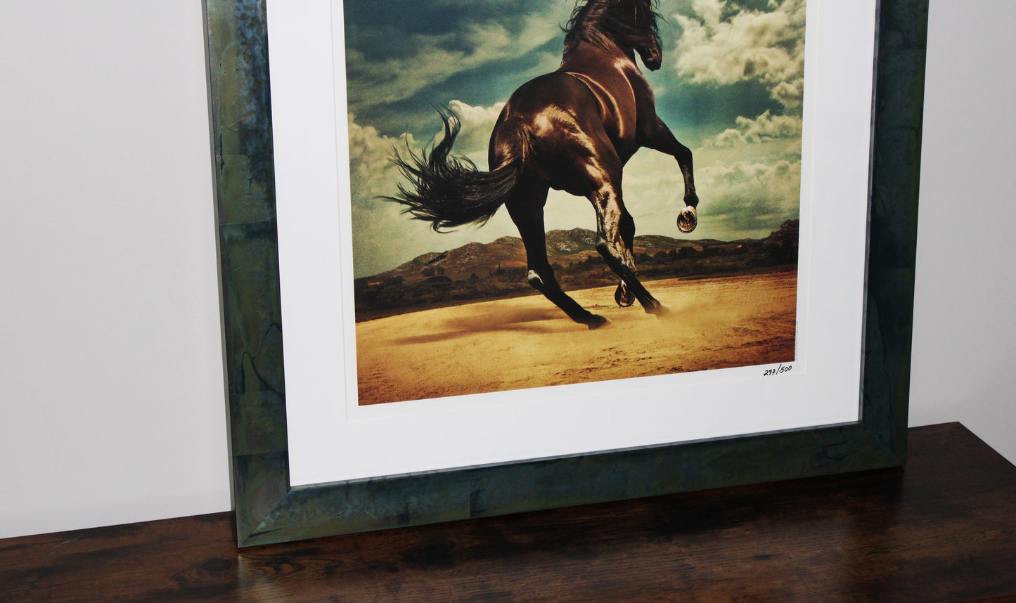 Bruce Springsteen Western Stars Lithograph - Custom Framed Original Art Collectible