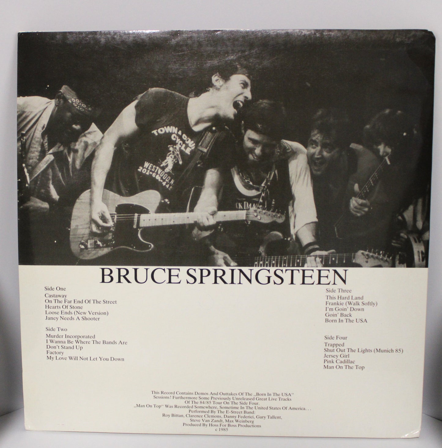 Bruce Springsteen "Castaway" 2 Vinyl LPs  Unofficial Demo & Outtakes from BITUSA Sessions